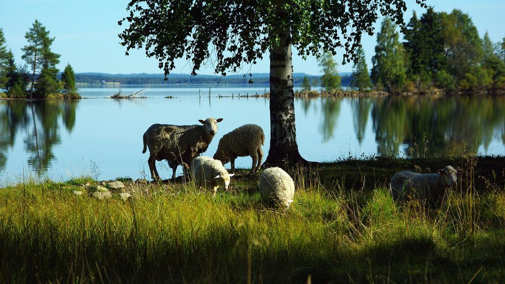 Lits Camping, Stugby Och Kanot Hotell Eksteriør bilde